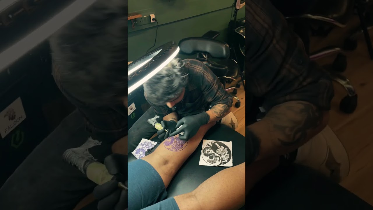 🐯🐉 Balance of Power. Strength in Harmony. ☯️