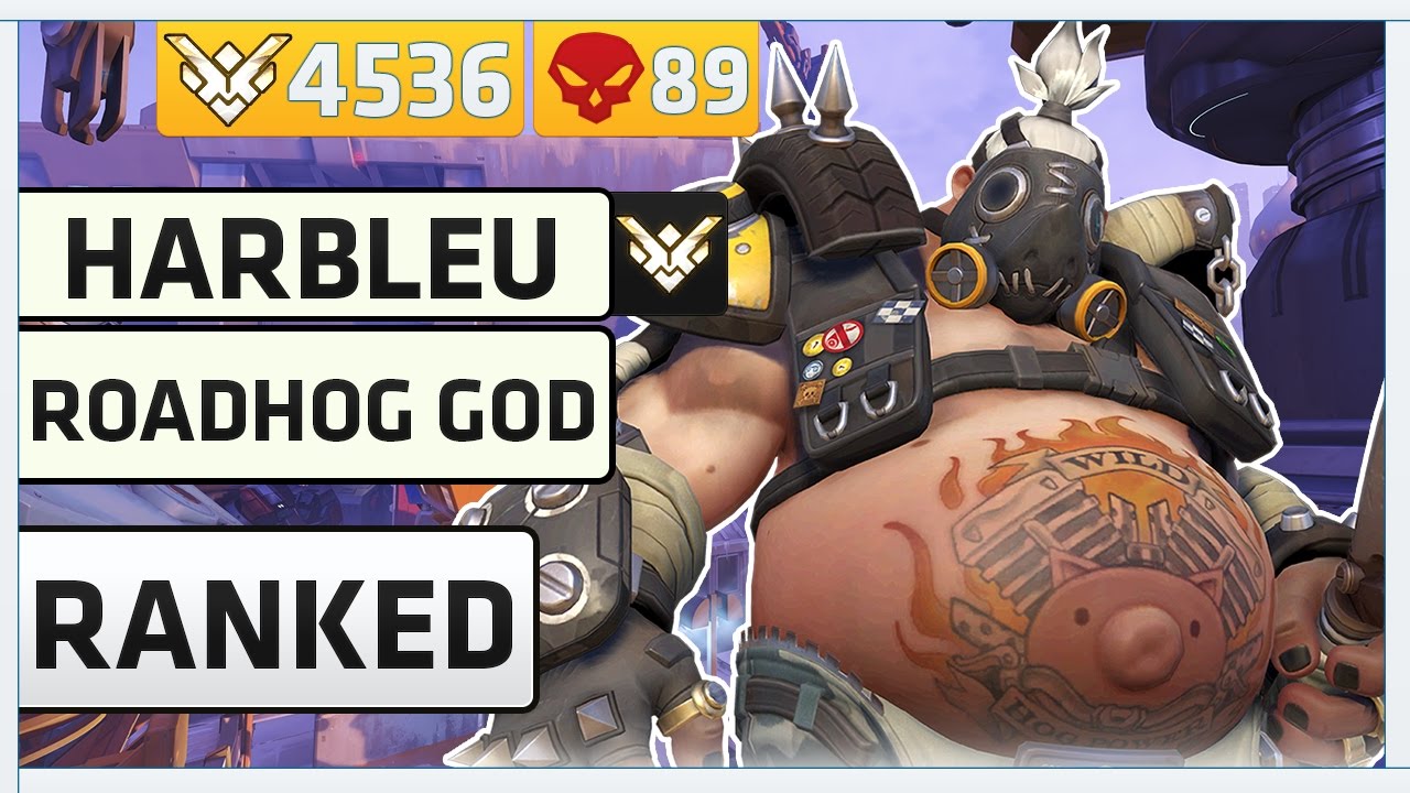 [Overwatch] THE ROADHOG GOD | Harbleu