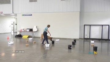 Toka NW3 Containers - Doswell April 2018