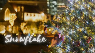 【9本目】Snowflake/等価交換 feat.VY1【VOCALOIDオリジナル曲】