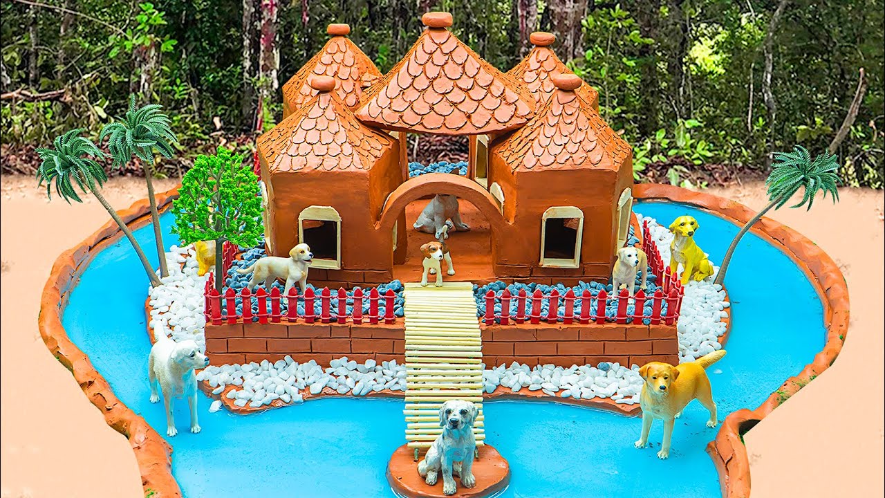 Building on the Ground a Dream Dogs House with the Water Park and