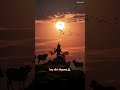 सुनो श्याम प्यारे !!song!!जय श्री श्याम 🙏🏻🙏🏻❣️। #trending #bhaktistatus #shortvideo 🙏🏻