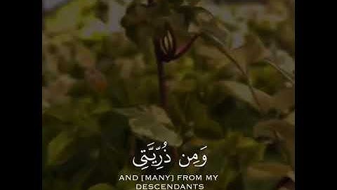 القارئ احمد النفيس سورة (ابراهيم)