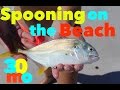HOT SURF FISHING ACTION | "Spooning on the Beach" | Jacks & Bluefish | Pensacola, Florid
