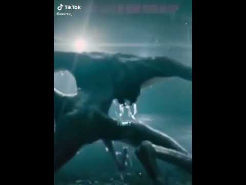 Neomorph Vs Sputnik