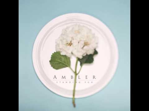 Standing Egg(스탠딩 에그)  - Lemon Pie