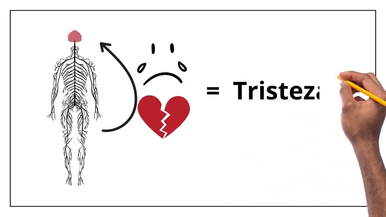 Como Funciona? - Sentimentos e Emoções