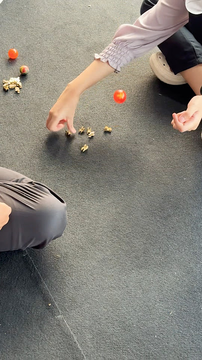 Traditional game of marbles