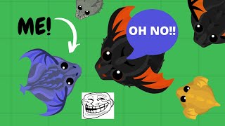 Black Dragon Kills King Dragon Solo Black Rhino Ptero Kills Bd Mope.io