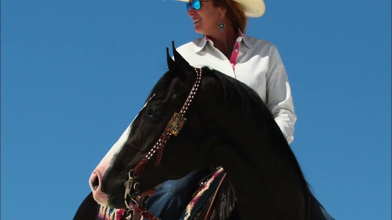 Lot 28 BLAZIN MOONFLASH offered by Castillo Performance Horses Best of