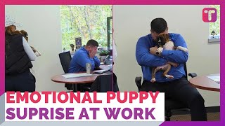 Husband Surprised With Dream Puppy At Work Holds Back Tears At Desk