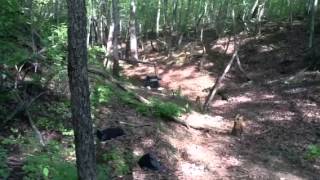 6 pounds tannerite vs. grill