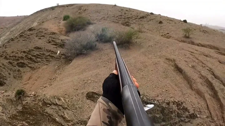 أبرز لقطات الصيد لهذا الموسم 2024 _ 2025Faits saillants de la chasse pour cette saison 2024-2025