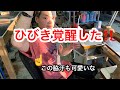 【てっぺんグローブ グローブ職人】ひびき職人への道‼️ゲームからミシンに乗り換え