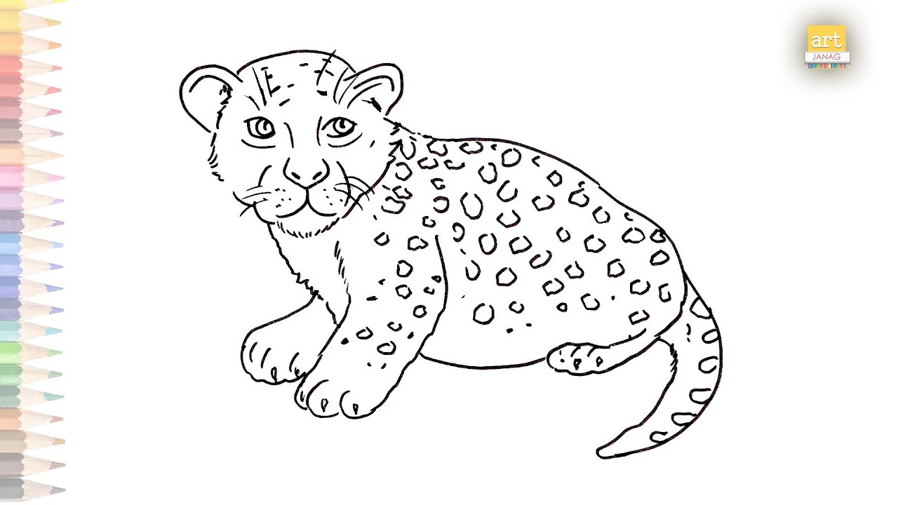 Baby Cheetah drawing | Cub drawings | How to draw Baby Cheetah step by