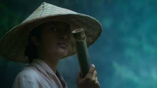 Elementis Where Nature, Innovation, And Longevity Unite