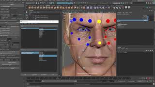 joint based facial expression 14 nasolabial fold 02