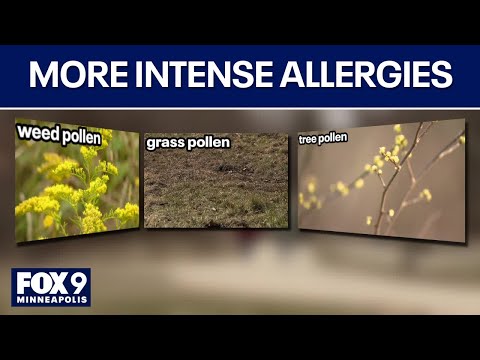 Seasonal allergies becoming