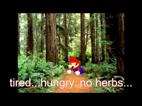 super mario 64 bloopers: WEEGEE disease