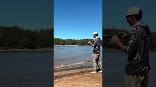Pesca de dorado con sábalo #fishing #caza #nature #dorado #pesca