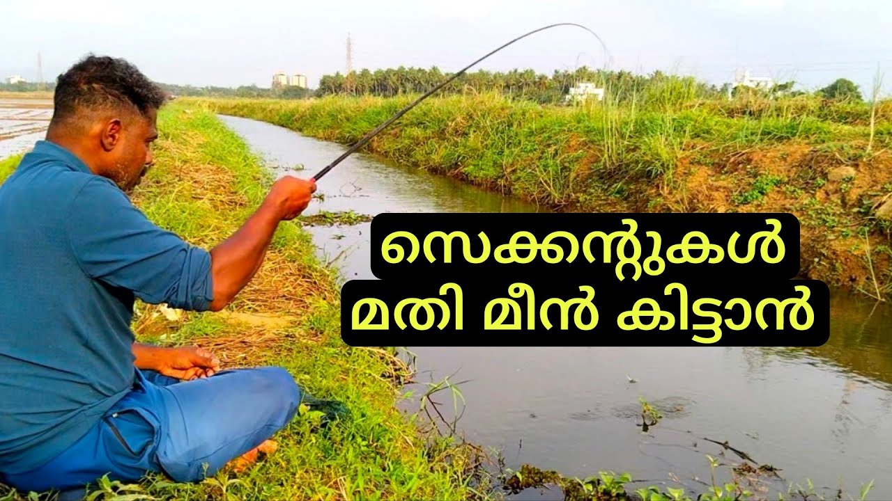 ഈ സീസണിൽ ഈ മീൻ ഒരു പാട് കിട്ടും | FISHING VIDEO MALAYALAM 
