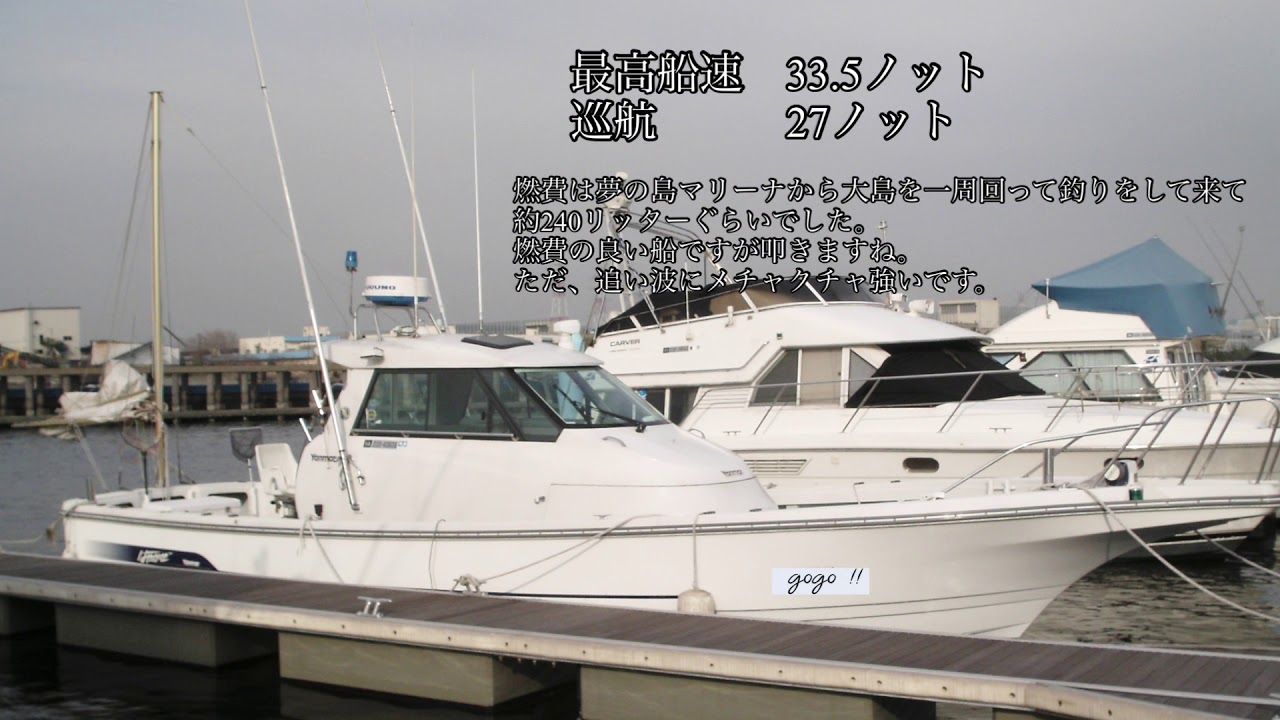 プレジャーボート ZX SERIES - ZX200 | BOATS ボート | SKEETER BOATS JAPAN