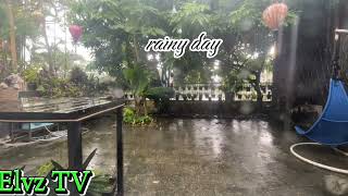 Rainy day  #elvztv