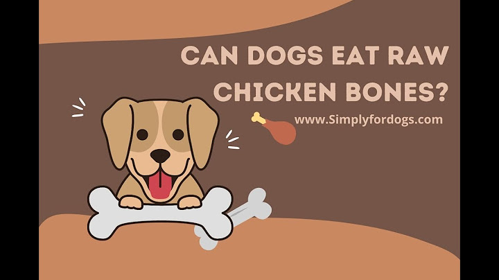 What do i do if my dog eats raw chicken