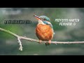 Proyecto Martín Pescador (I) KING FISHER PROYECT