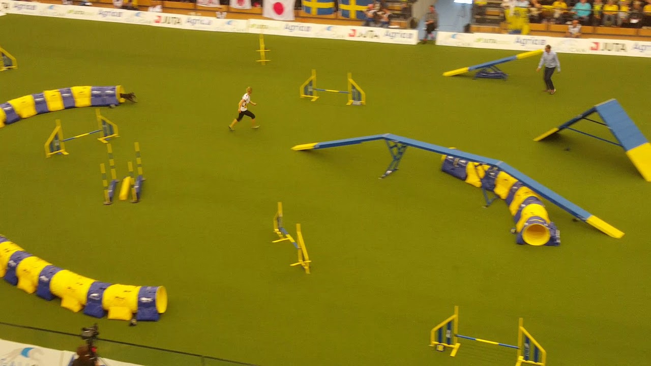 LE Silvia Trkman Medium Agility AWC 2018