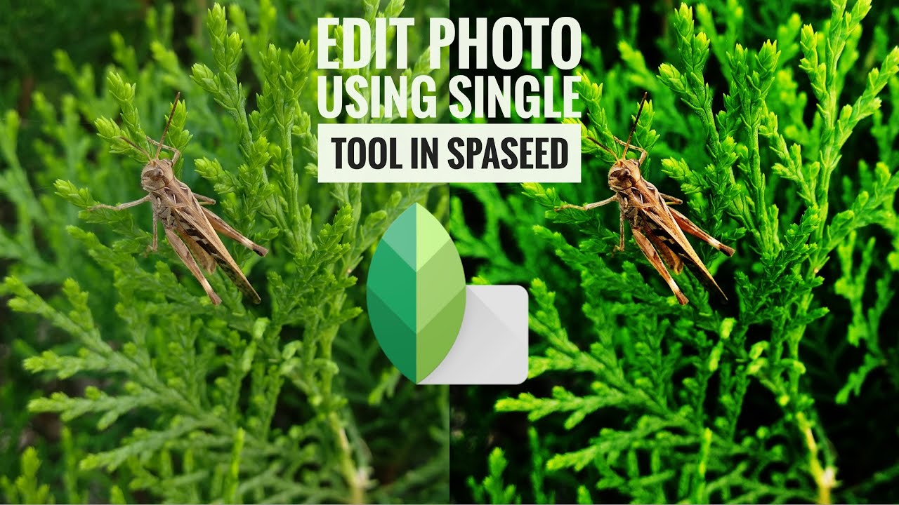 Snapseed Tutorial || Snapseed Editing || Editing || How to edit ...