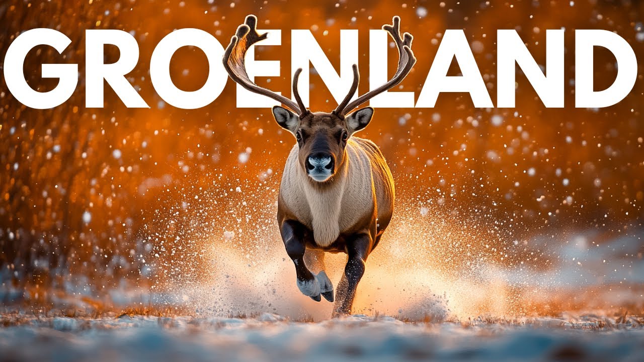 GROENLAND – TERRES DE GLACE, VIES D'ACIER