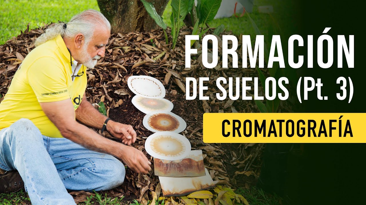 FORMACIÓN DE SUELOS Pt. 3 🌿 (Cromatografía) | Jairo Restrepo 🐮🥬