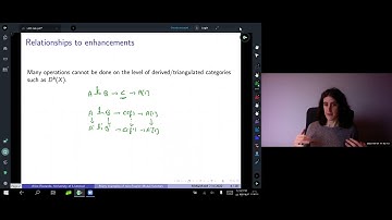 Alice Rizzardo, Many examples of non Fourier Mukai functors