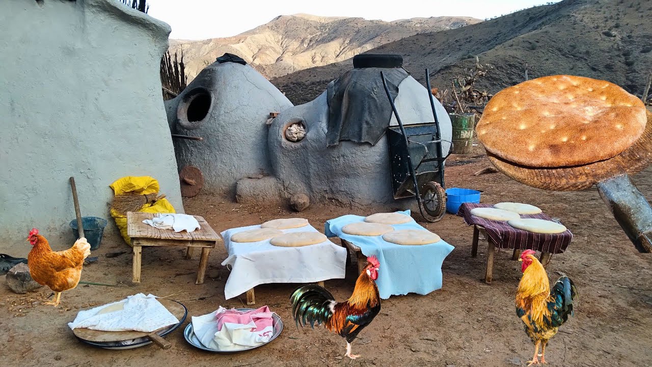 العيش في القرية المغربية هكذا يعشون يطهون الخبز البلدي في الفرن الحطب وتربية دجاج البلدي من عداتهم..