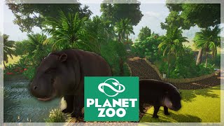 Cute Pygmy Hippos! | Planet Zoo Ep.7