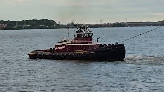 @Happyliven1 #baltimore #tuglifevideos #keybridge #ship #assist