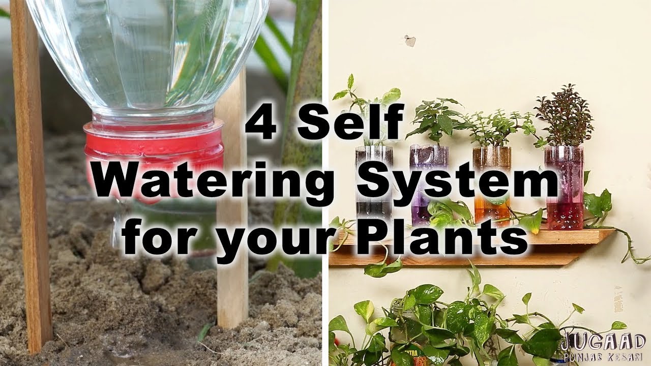 Best Gardening DIY Hacks - YouTube