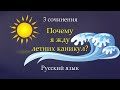 Сочинение на тему: &quot;Почему я жду летних каникул?&quot;. Русский язык