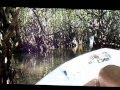 Boat Ride in Madhu Ganga, Sri Lanka - මාදු ගඟේ බෝට්ටු සවාරිය