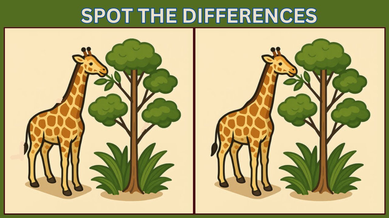 Найдите 3 отличия | 10 головоломок для проверки вашего IQ