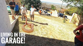 Download Lagu This BIG Cape Cobra was hiding in their garage! MP3