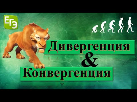 Видео: Разлика между конвергентна и дивергентна еволюция