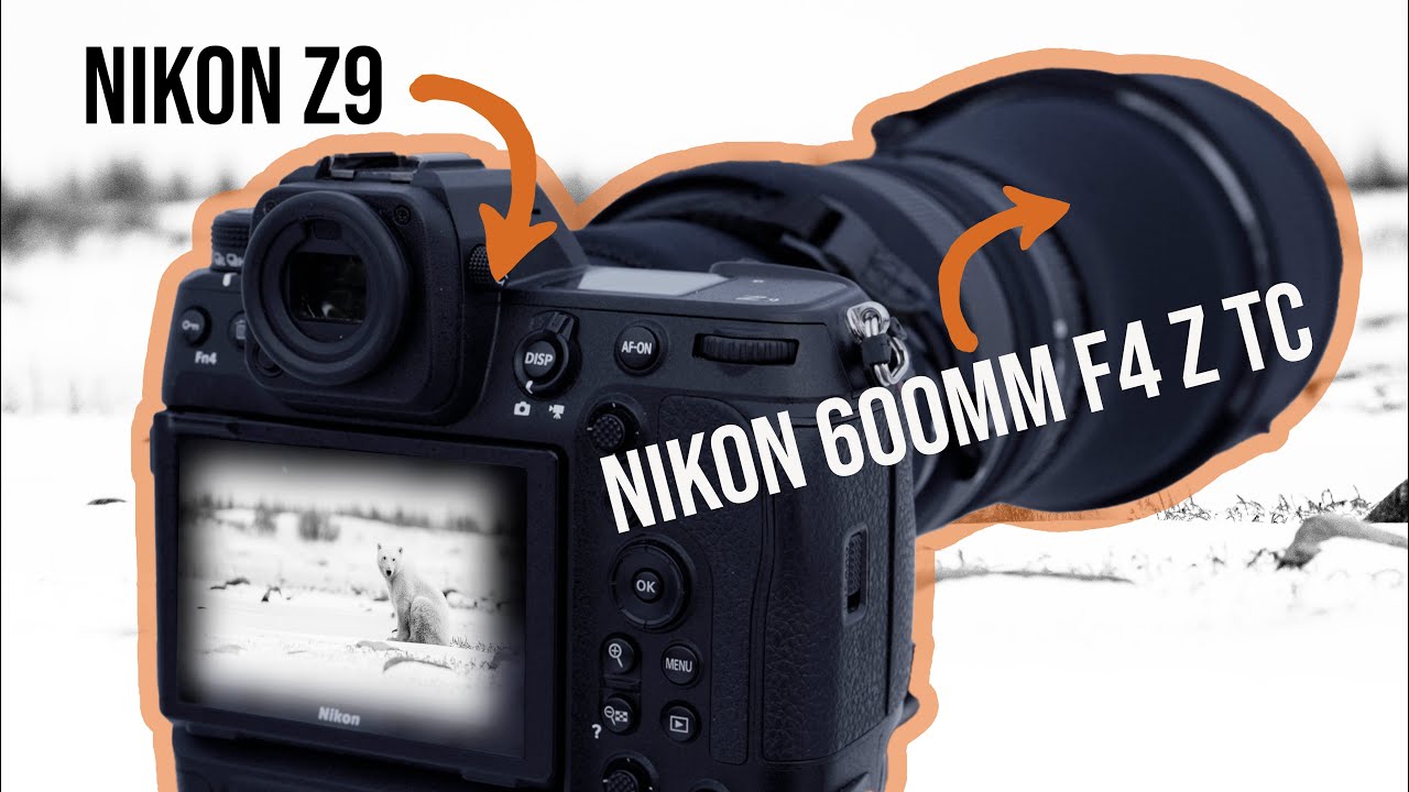 My wildlife photography CAMERA GEAR for Polar Bears Nikon Z9, Z8