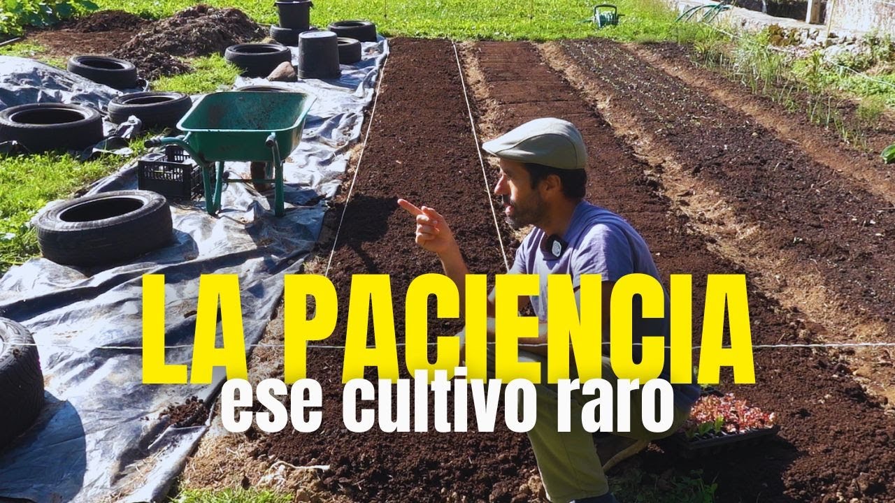 La paciencia, ese cultivo tan raro