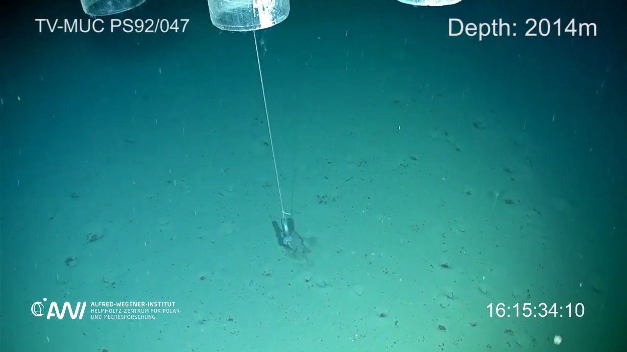Previously Unreported Arctic Phytoplankton Transport Could