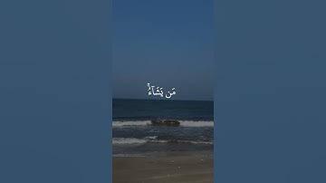 #المصحف #بسم_الله_الرحمن_الرحيم #راحة_نفسية #سورة_البقرة #القرآن_الكريم #حالات_واتس #اكسبلور #لايك