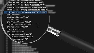 Fujifilm Sidecar XMP Files Explained