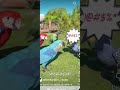I saw parrots in animal adventures