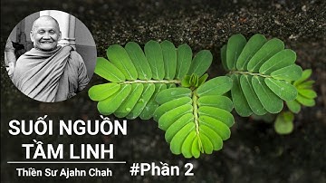 Suối Nguồn Tâm Linh (Phần 2/2) - Thiền Sư Ajahn Chah